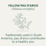 Yellow pau d'arco traditionally used in South America, pau d'arco contributes to a healthy you