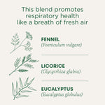 This blend promotes respiratory health like a breath of fresh air. Fennel (Foeniculum vulgare). Licorice (Glycyrrhiza glabra). Eucalyptus (Eucalyptus globulus)