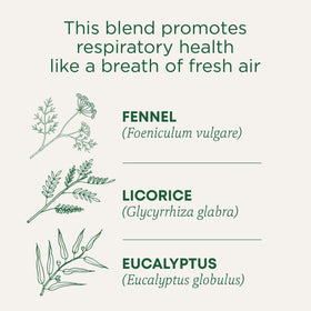 This blend promotes respiratory health like a breath of fresh air. Fennel (Foeniculum vulgare). Licorice (Glycyrrhiza glabra). Eucalyptus (Eucalyptus globulus)