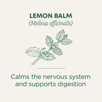 Lemon balm calms the nervous system and supports digestion