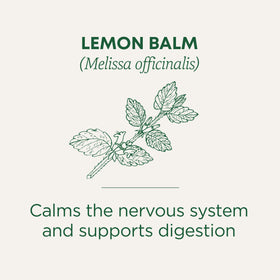 Lemon balm calms the nervous system and supports digestion