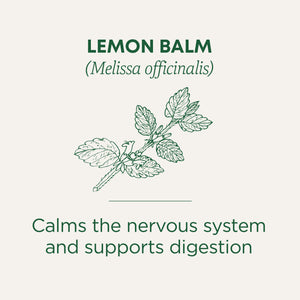 Lemon balm calms the nervous system and supports digestion