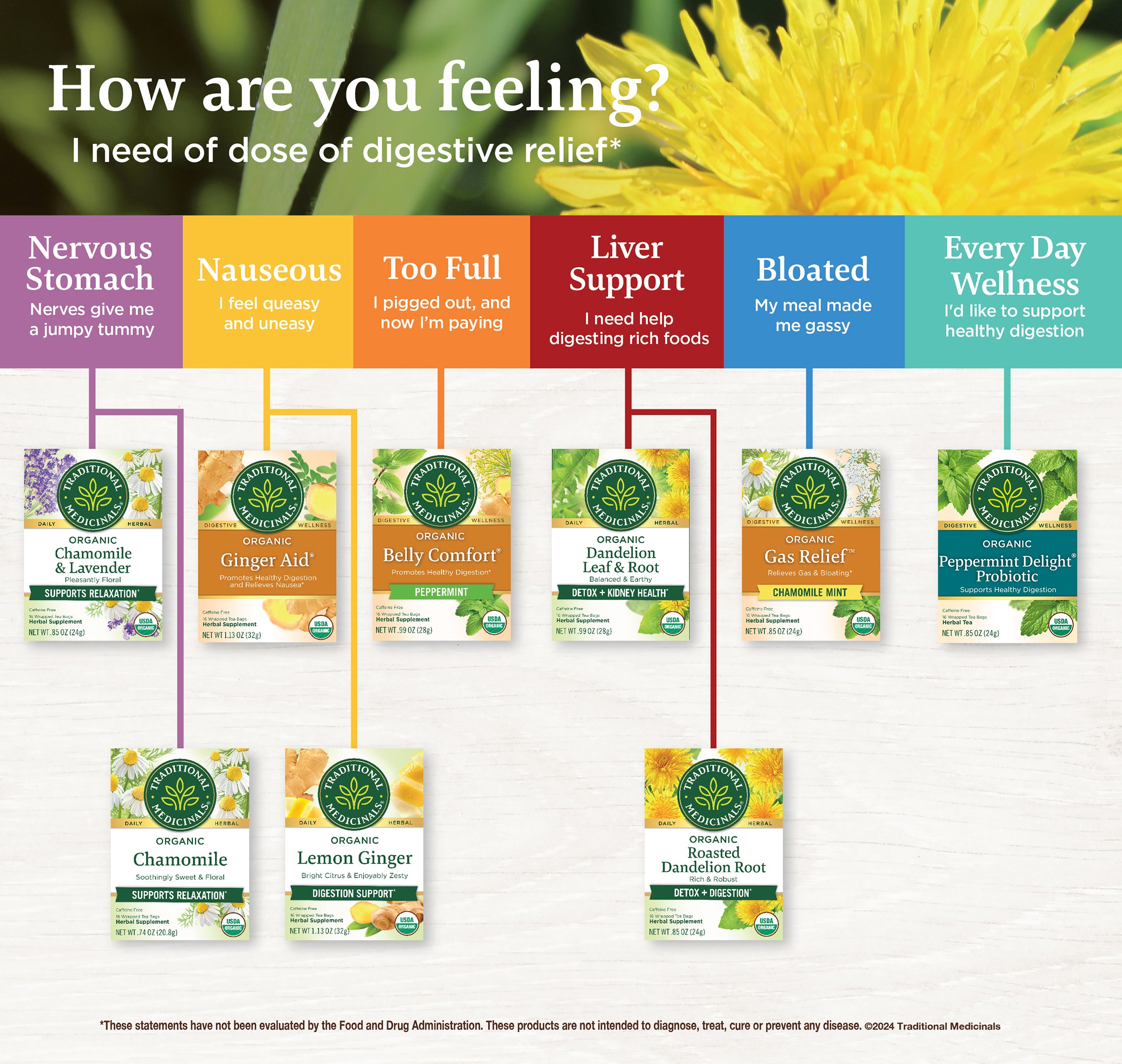 Digestion Decision Tree infographic