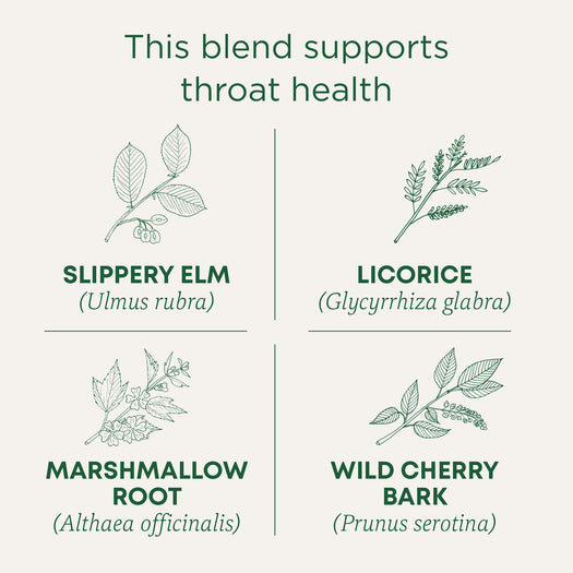 This blend supports throat health. Slippery ELM (Ulmus rubra). Licorice (Glycyrrhiza glabra). Marshmallow Root (Althaea officinalis). Wild Cherry Bark (Prunus serotina)