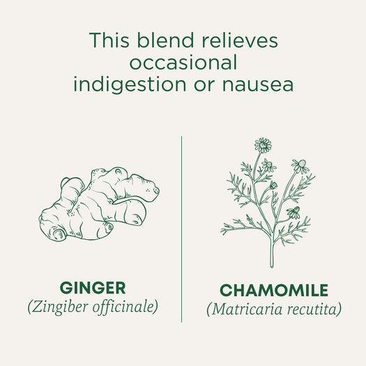 This Blend relieves occasional indigestion or nausea. Ginger (Zingiber officinale). Chamomile (Matricaria recutita)