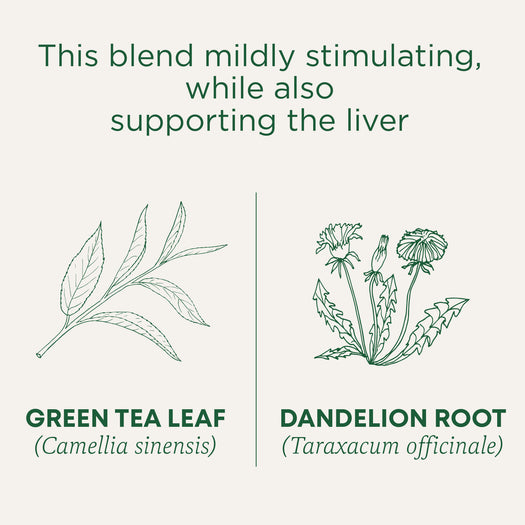 This blend mildly stimulating, while also supporting the liver. Green Tea Leaf (Camellia sinensis). Dandelion Root (Taraxacum officinale)