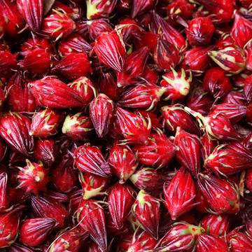 Hibiscus Calyces Harvested