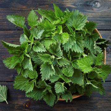 Nettle Leaves in a Basket