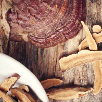 Dried Reishi Mushroom used for Tea which Supports Healthy Immune System 