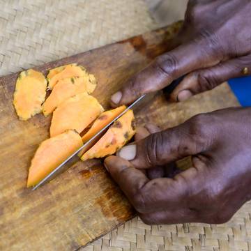 Turmeric Rhizomes being cut by Hand