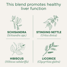 This blend promotes healthy liver function. Schisandra (Schisandra ssp.). Stinging Nettle (Urtica dioica). Hibiscus (Hibiscus sabdariffa). Licorice (Glycyrrhiza glabra)