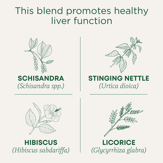 This blend promotes healthy liver function. Schisandra (Schisandra ssp.). Stinging Nettle (Urtica dioica). Hibiscus (Hibiscus sabdariffa). Licorice (Glycyrrhiza glabra)