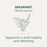 Spearmint Tea is both healthy and refreshing