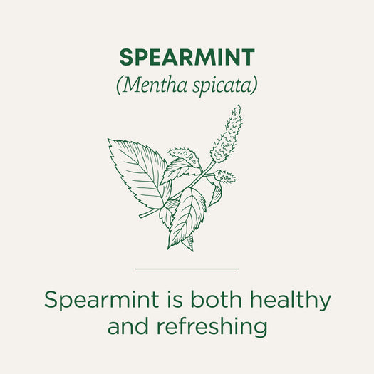 Spearmint Tea is both healthy and refreshing