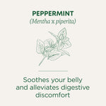 Peppermint soothes your belly and alleviates digestive discomfort