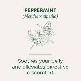 Peppermint soothes your belly and alleviates digestive discomfort