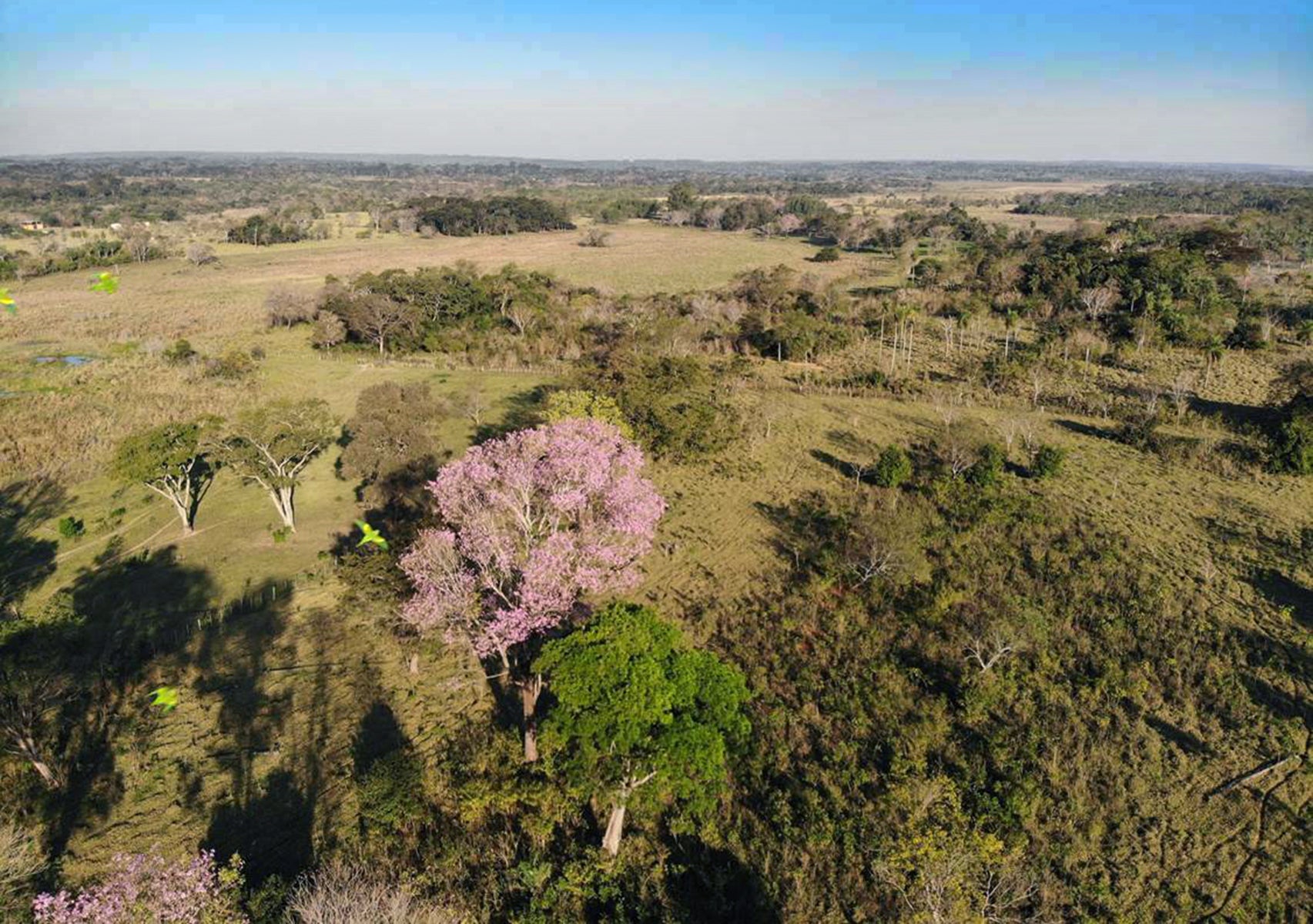 Paraguay Landscape 