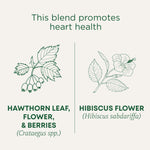 This blend promotes heart health. Hawthorn Leaf, Flower, & Berries (Cataegus spp.). Hibiscus Flower (Hibiscus sabdariffa).