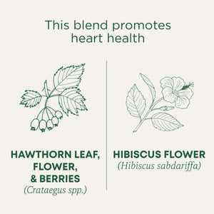 This blend promotes heart health. Hawthorn Leaf, Flower, & Berries (Cataegus spp.). Hibiscus Flower (Hibiscus sabdariffa).