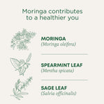 Moringa contributes to a healthier you