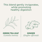 This blend gently invigorates, while promoting healthy digestion. Green tea leaf (Camellia sinensis). Ginger (Zingiber officinale)