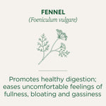 FENNEL (Foeniculum vulgare). Promotes healthy digestion; eases uncomfortable feelings of fullness. bloating and gassiness.