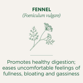 FENNEL (Foeniculum vulgare). Promotes healthy digestion; eases uncomfortable feelings of fullness. bloating and gassiness.