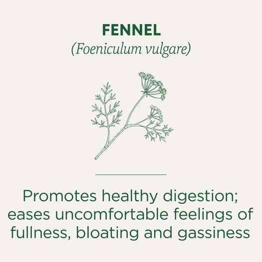 FENNEL (Foeniculum vulgare). Promotes healthy digestion; eases uncomfortable feelings of fullness. bloating and gassiness.