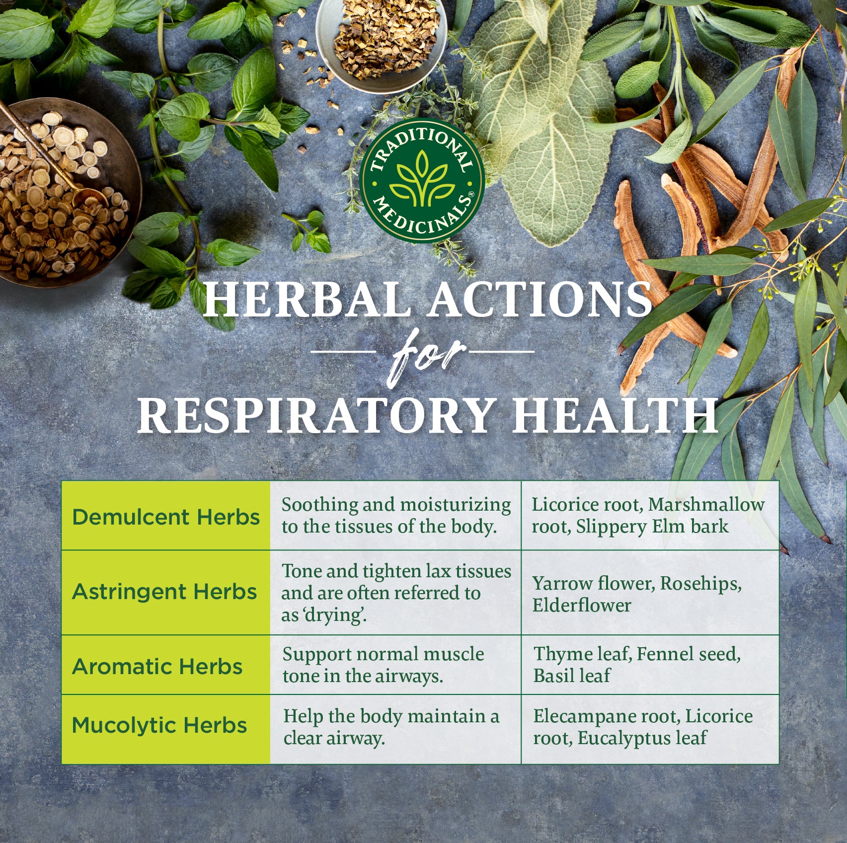 Herbal actions for respiratory health infographic