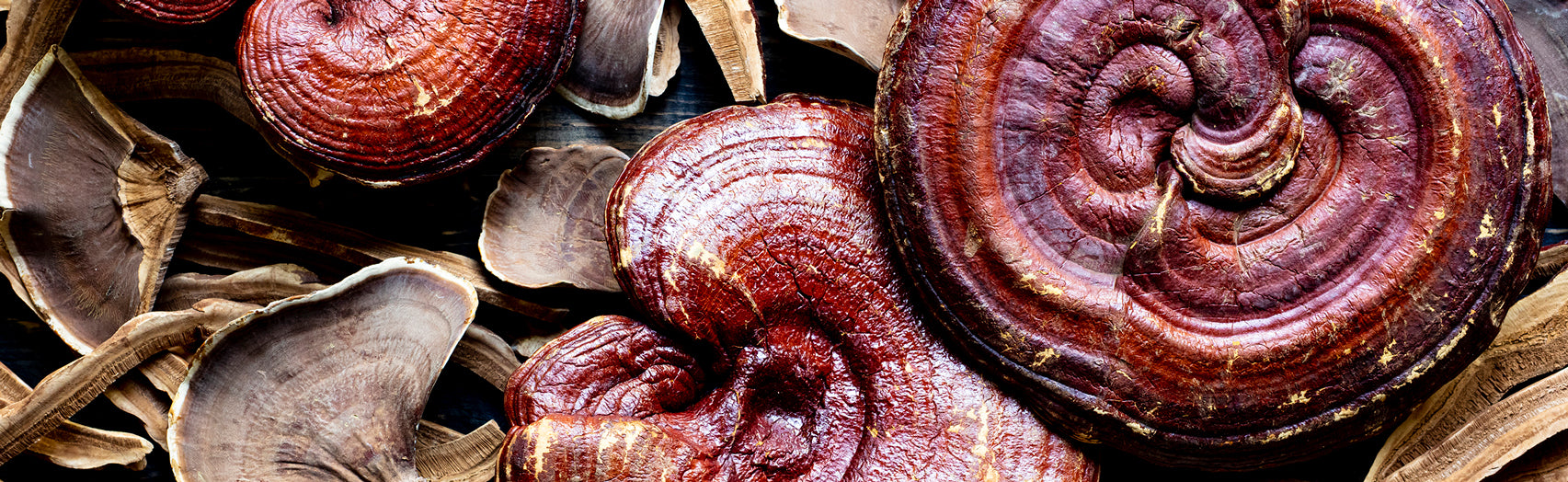 Whole and sliced reishi mushroom