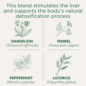 This blend stimulates the liver and supports the body's natural detoxification process. Dandelion (Taraxacum officinale). Fennel (Foeniculum vulgare). Peppermint (Mentha x piperita). Licorice (Glycyrrhiza glabra)