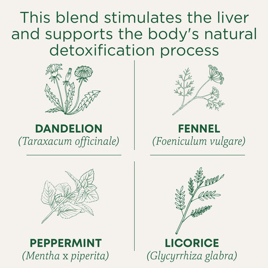 This blend stimulates the liver and supports the body's natural detoxification process. Dandelion (Taraxacum officinale). Fennel (Foeniculum vulgare). Peppermint (Mentha x piperita). Licorice (Glycyrrhiza glabra)