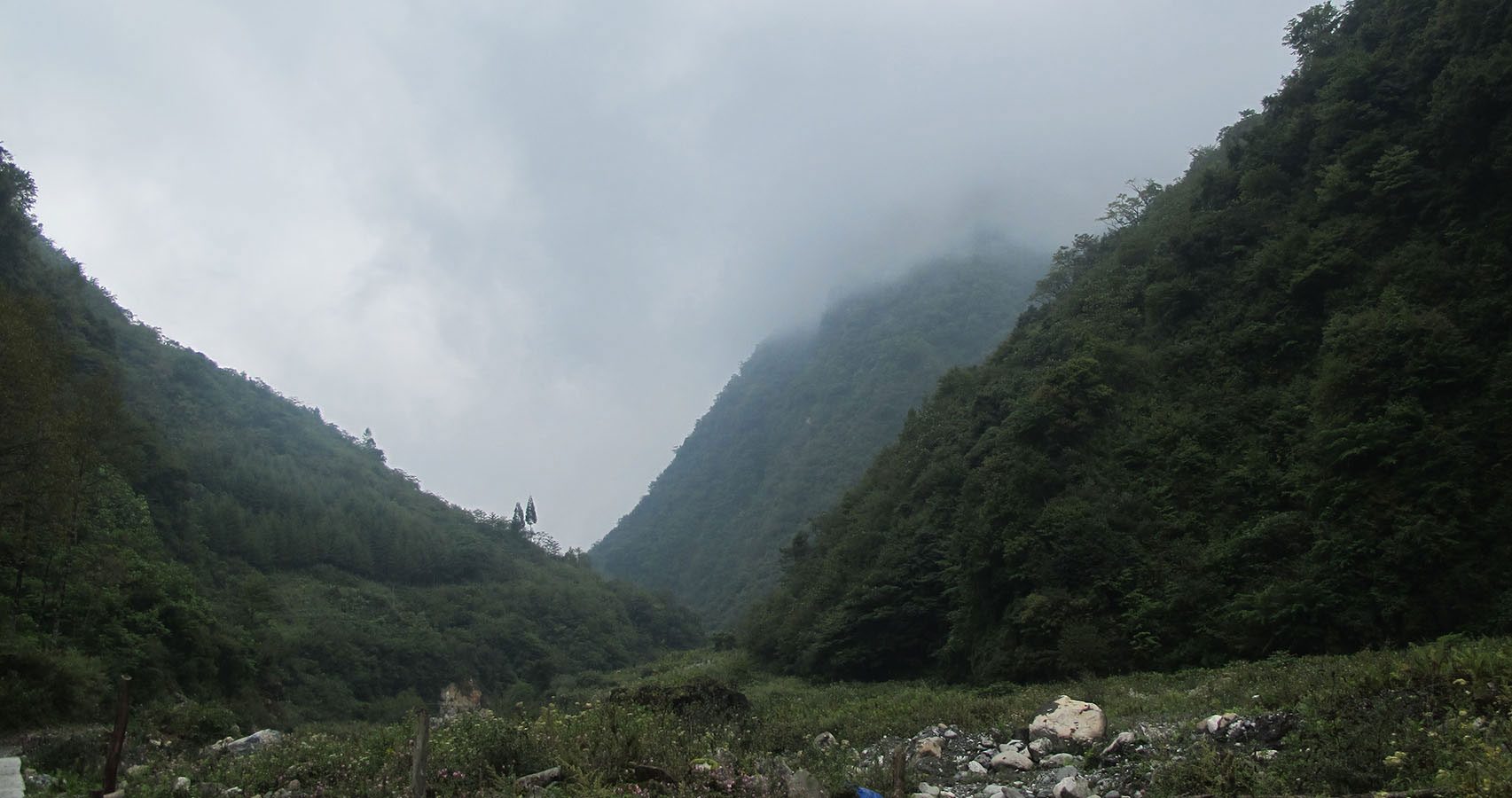 wildnerness in china