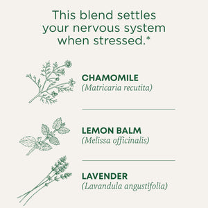 This blend settles your nervous system when stressed. Chamomile (Matricaria recutita), Lemon Balm (Melissa officinalis), Lavender (Lavandula angustifolia)