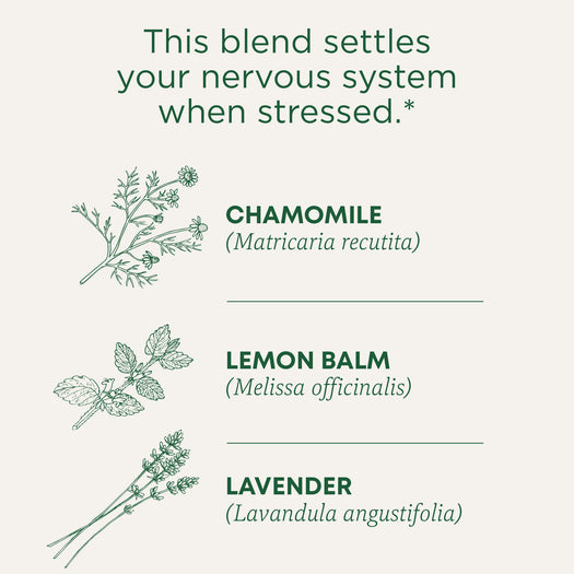 This blend settles your nervous system when stressed. Chamomile (Matricaria recutita), Lemon Balm (Melissa officinalis), Lavender (Lavandula angustifolia)