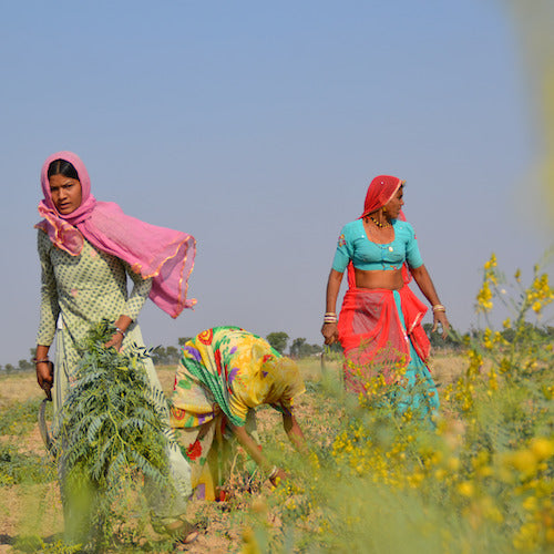 senna field women