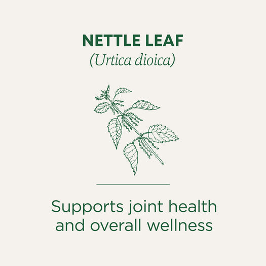 nettle leaf supports joint health and overall wellness