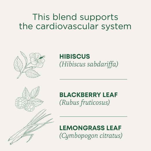 This blend supports the cardiovascular system. Hibiscus (Hibiscus sabdariffa), Blackberry Leaf (Rubus fruticosus), Lemongrass Leaf (Cymbopogon citratus)