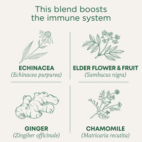 This blend boots the immune system. Echinacea (Echinacea purpurea). Elder Flower & Fruit (Sambucus nigra). Ginger (Zingiber officinale). Chamomile (Matricaria recutita)