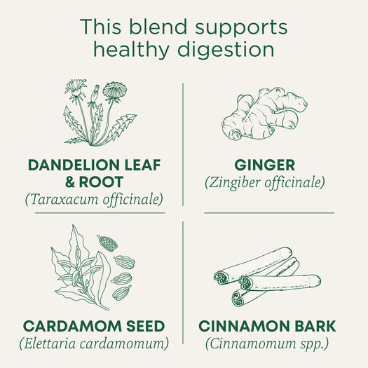 This blend supports healthy digestion. Dandelion Leaf & Root ( Taraxacum officinale). Ginger (Zingiber officinale). Cardamom Seed (Elettaria Cardamomum). Cinnamon Bark (Cinnamomum spp.)