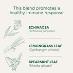 This blend promotes a healthy immune response. Echinacea (Echinacea purpurea). Lemongrass Leaf (Cymbopogon citratus). Spearmint Leaf (Mentha spicata)