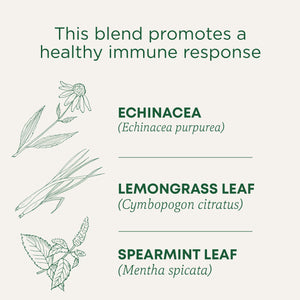 This blend promotes a healthy immune response. Echinacea (Echinacea purpurea). Lemongrass Leaf (Cymbopogon citratus). Spearmint Leaf (Mentha spicata)