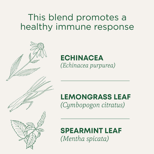 This blend promotes a healthy immune response. Echinacea (Echinacea purpurea). Lemongrass Leaf (Cymbopogon citratus). Spearmint Leaf (Mentha spicata)