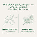 This blend gently invigorates while alleviating digestive discomfort. Green Tea Leaf (Camellia sinensis). Peppermint (Mentha x piperita)