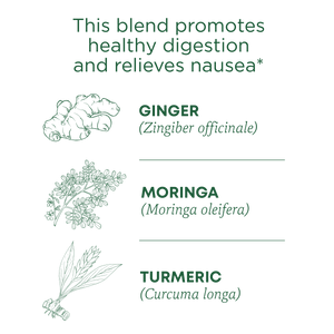 This blend promotes healthy digestion and relieves nausea. Ginger (Zingiber officinale). Moringa (Moringa oleifera). Turmeric (Curcuma longa)