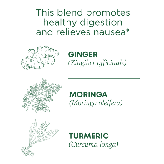 This blend promotes healthy digestion and relieves nausea. Ginger (Zingiber officinale). Moringa (Moringa oleifera). Turmeric (Curcuma longa)